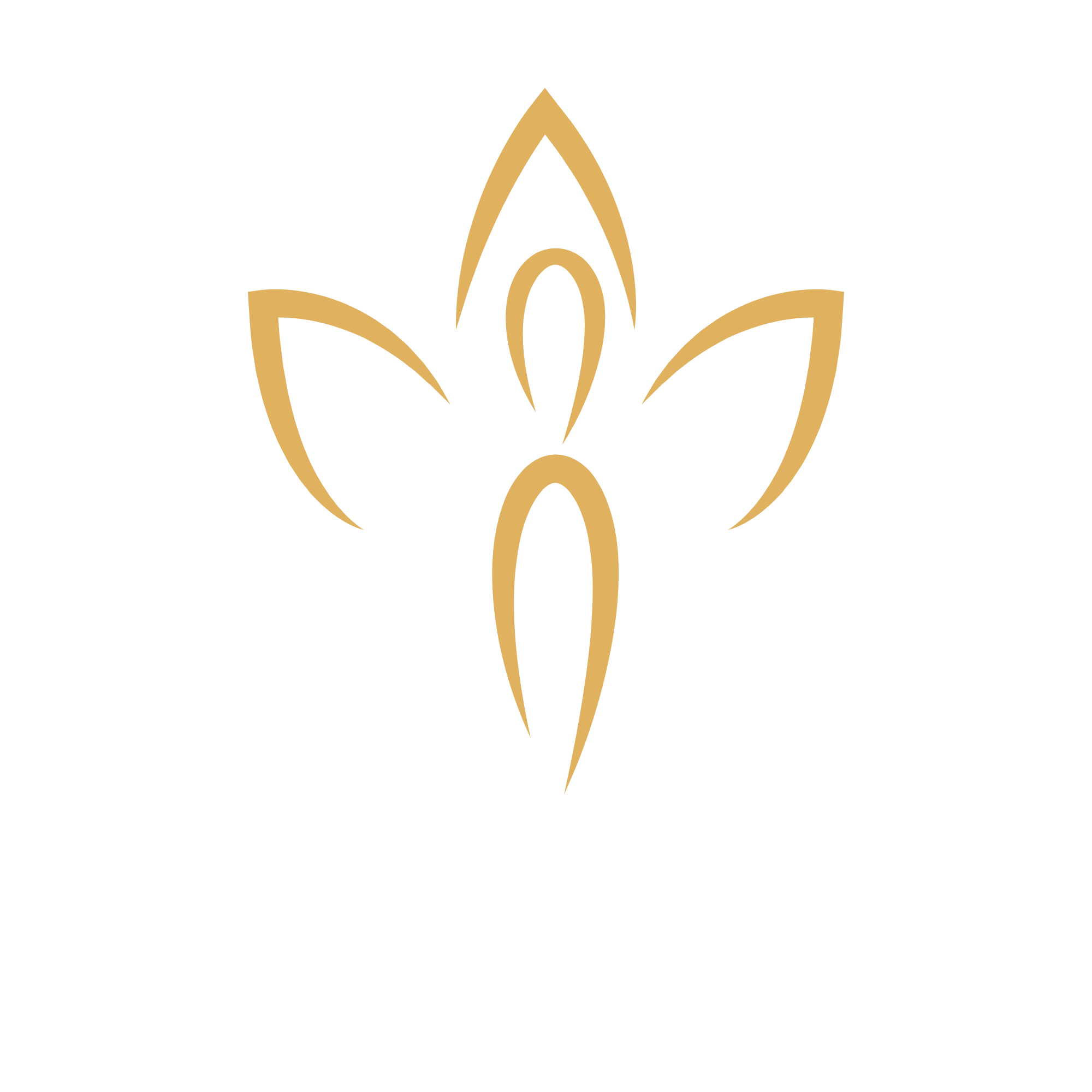 Daily Divinity
